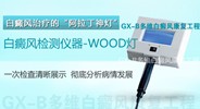 德国伍德灯检查治疗仪