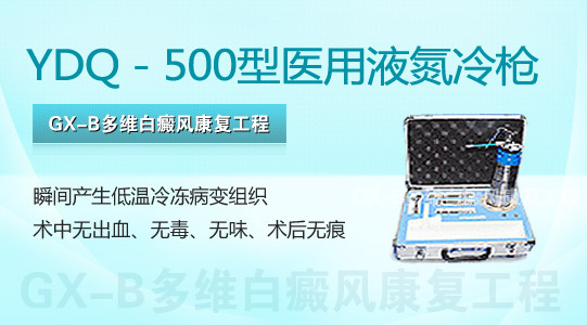 YDQ－500型医用液氮冷枪